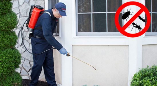Çan Kemirgen İlaçlama böcek ilaçlama ve haşere kontrolü — ilaclama-tr.com